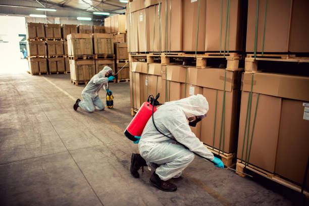 Best Bed Bug Extermination  in Knollwood, IL