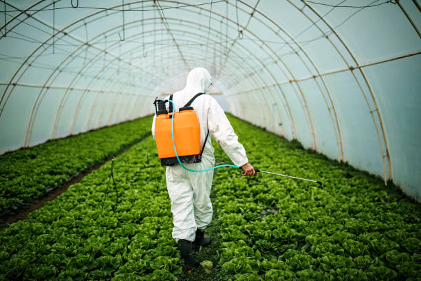 Best Insect Control  in Knollwood, IL