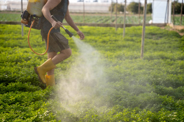 Pest Prevention Services in Knollwood, IL