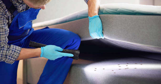 Best Insect Control  in Knollwood, IL