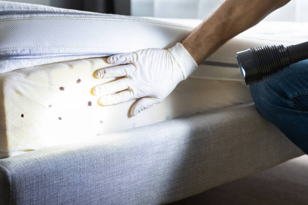 Best Pest Prevention Services  in Knollwood, IL