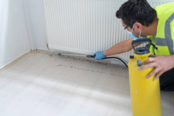 Best Commercial Pest Control Services  in Knollwood, IL